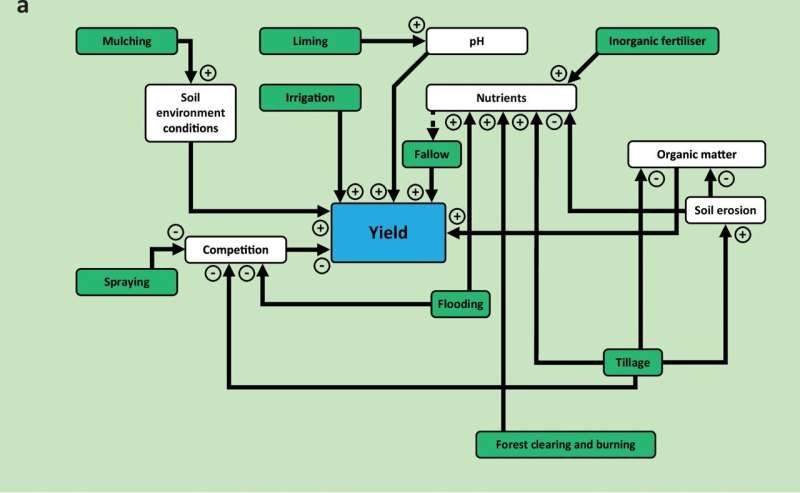 🌱 Study Identifies Key Agricultural Practices That Threaten Soil Health and Global Food Supply