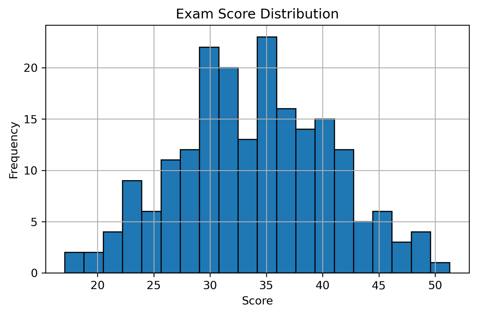“What a Histogram Tells Us About Student Performance”
